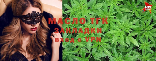 Альфа ПВП Инсар