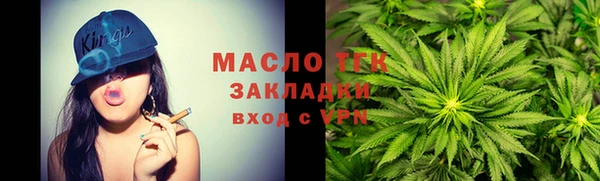 гашик Инта