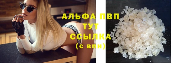 гашик Инта