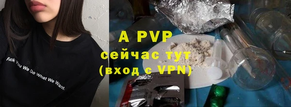 гашик Инта