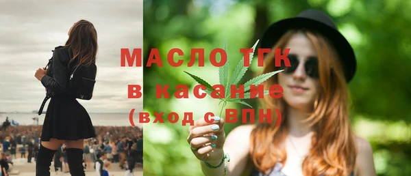 Альфа ПВП Инсар