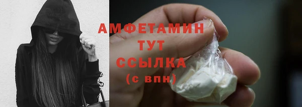 Альфа ПВП Инсар