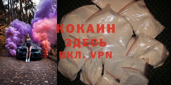 гашик Инта