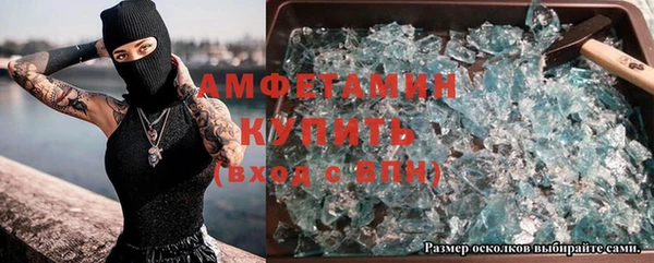 гашик Инта
