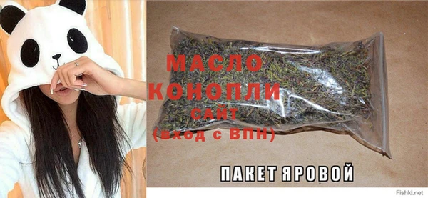 гашик Инта