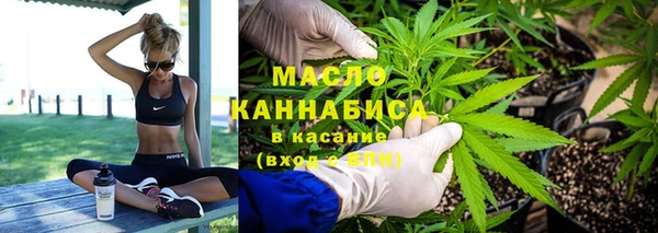 Альфа ПВП Инсар