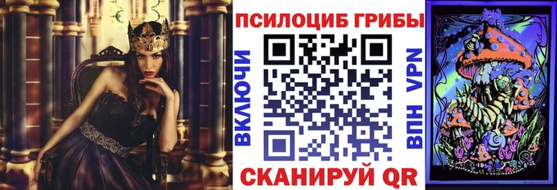 Галлюциногенные грибы MAGIC MUSHROOMS  Купить закладки  Бабаево 