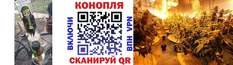 Бошки Шишки марихуана  Купить закладки  Бабаево 